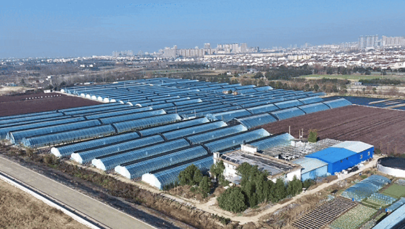 找准“棋眼”小城谋大业