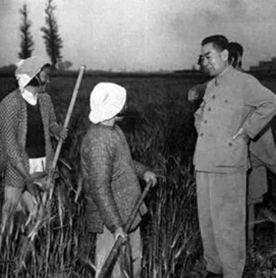 1974年得知周恩来病重时毛主席：问问总理现在的情况怎么样了